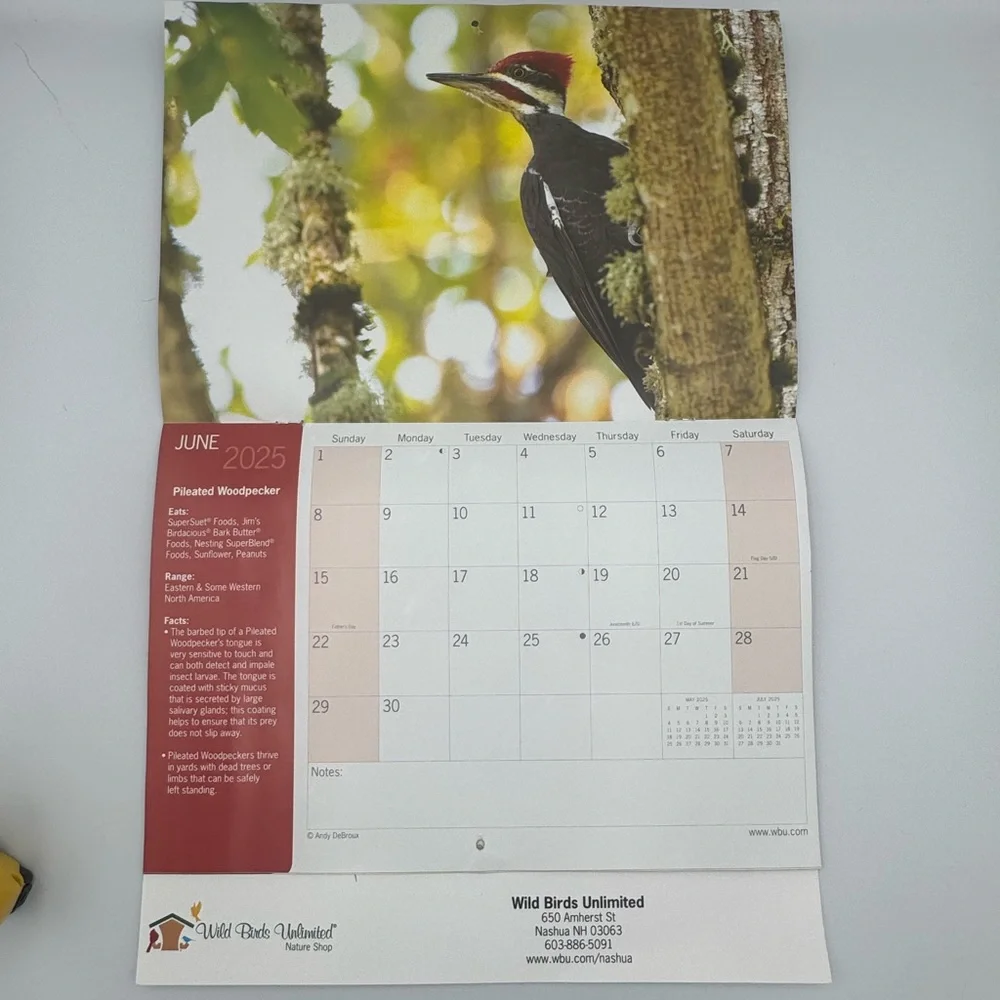 Wild Birds Unlimited 2025 Bird Photography Wall Calendar‎ Cornell BirdSpotter